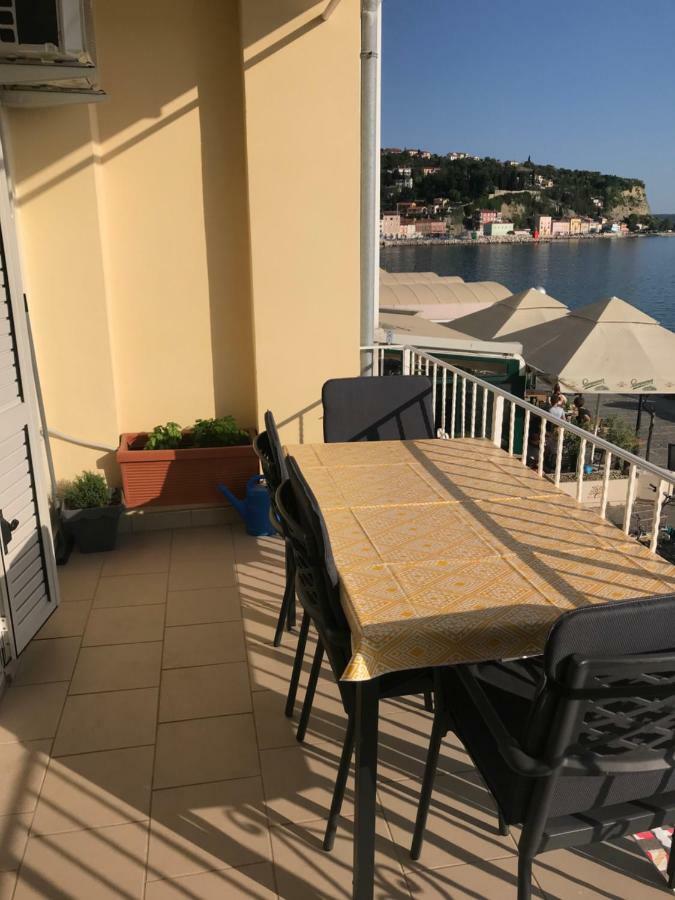 Apartma Zoya